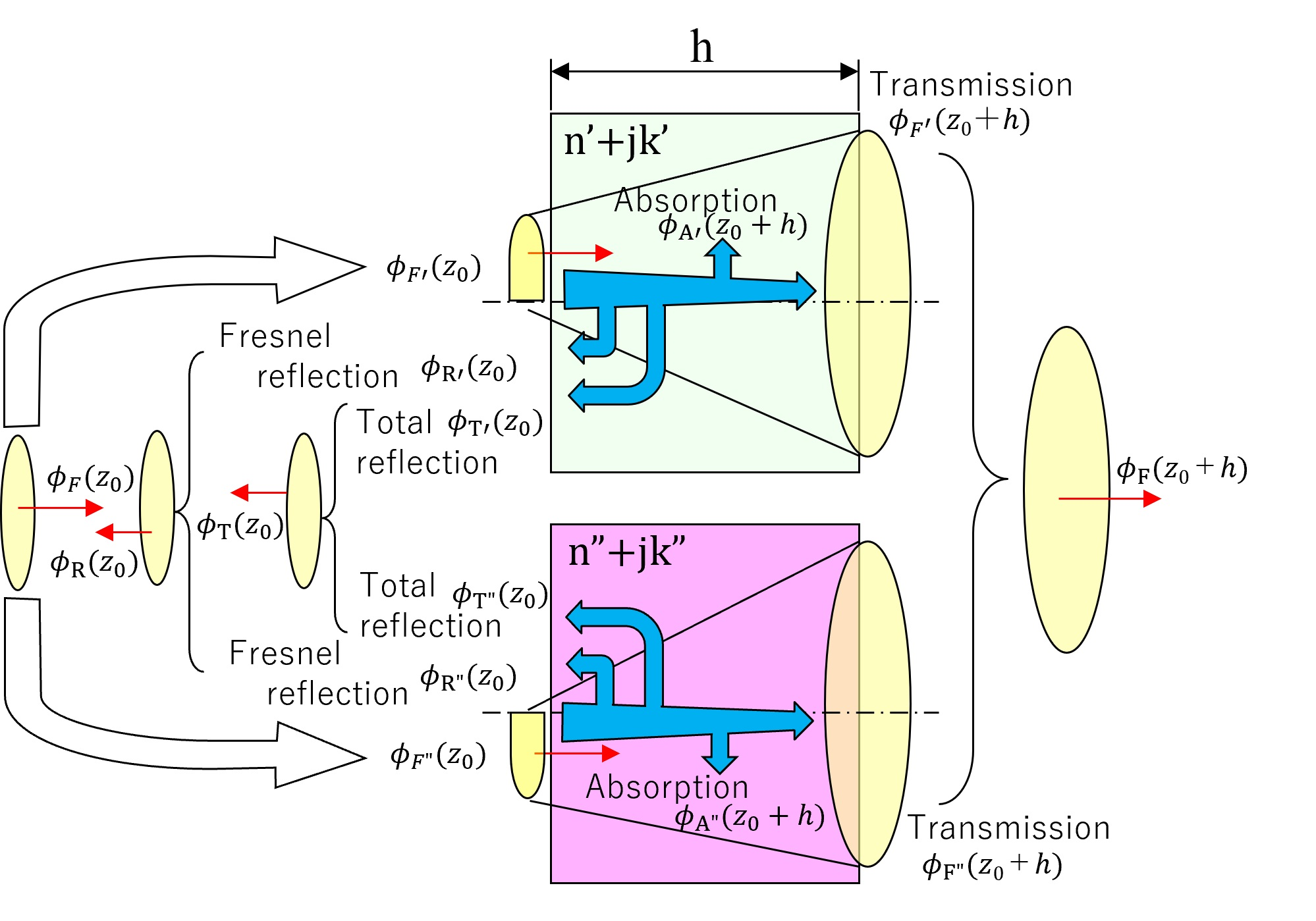 Calculation model of wsb